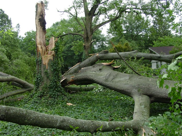 Storm