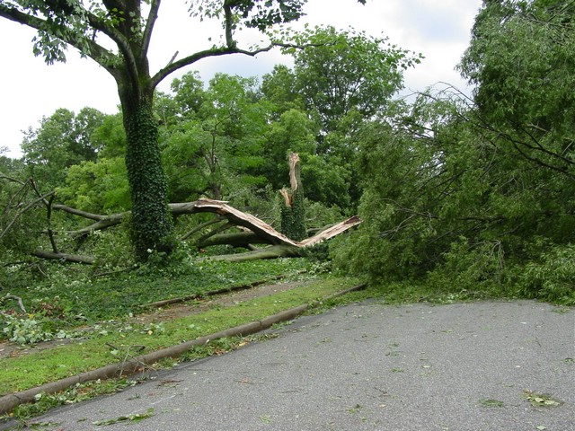 Storm