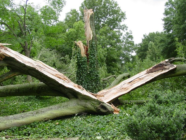 Storm