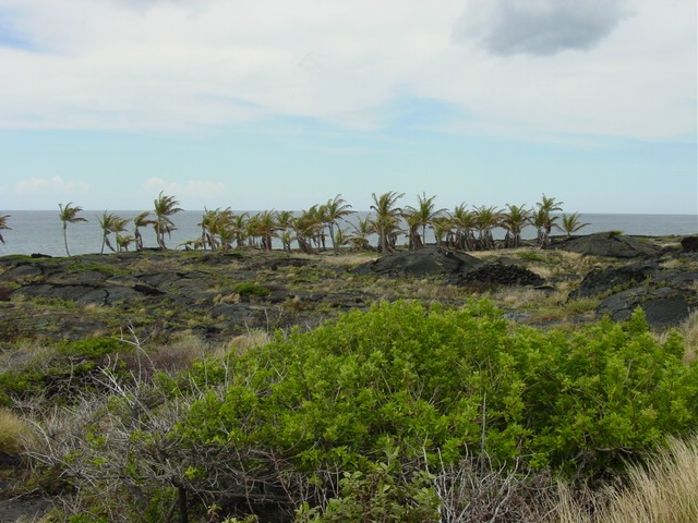 Hawaii
