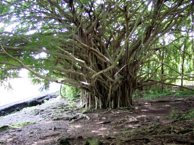 Hawaii