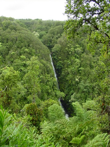Hawaii