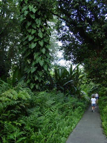 Hawaii