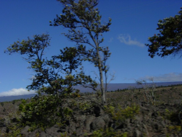 Hawaii