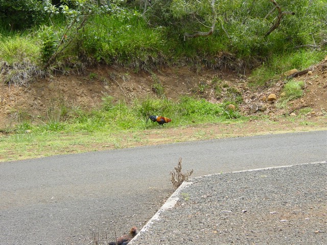Hawaii